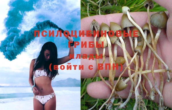твердый Россошь