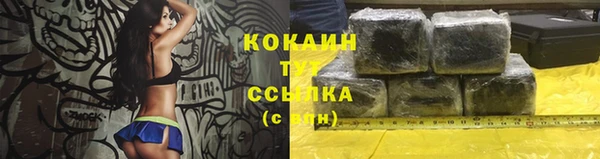 стафф Ростов