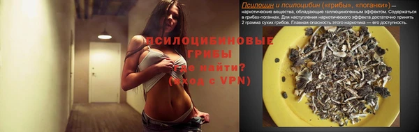 стафф Ростов