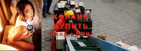 стафф Ростов
